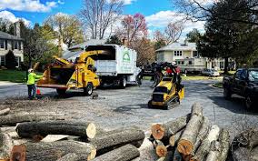 Best Tree and Shrub Care  in Monroeville, PA